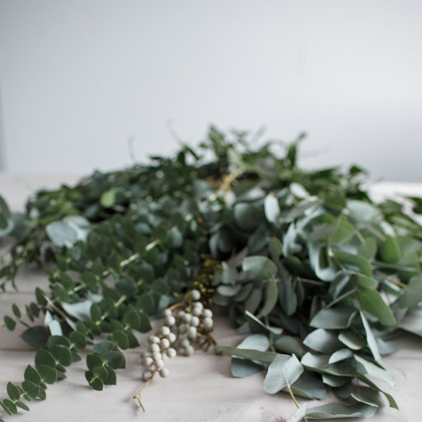 Eucalyptus Fragrance Oil product image