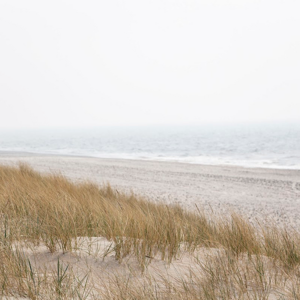 Ocean Mist Fragrance Oil product image