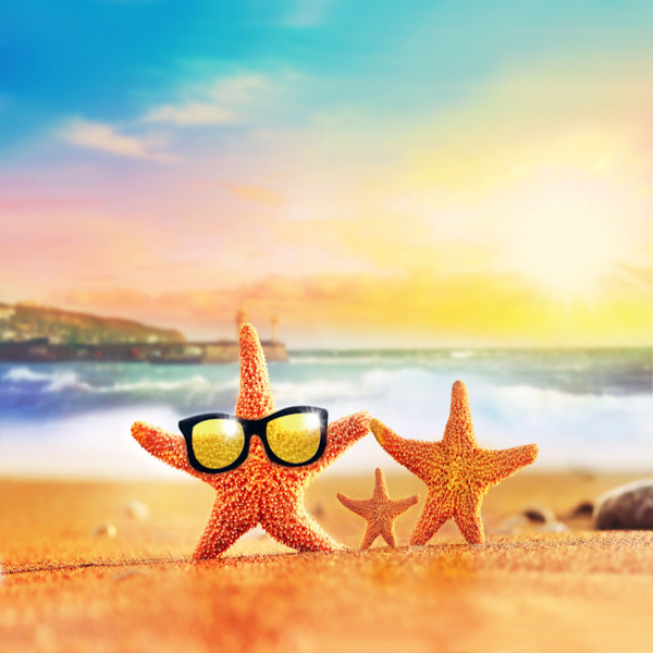 Sun & Sand (Yankee type) Fragrance Oil product image
