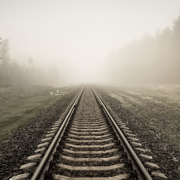 Ghost Train Fragrance Oil product image
