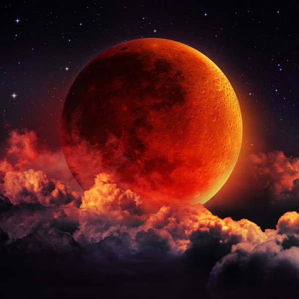Mad Moon Fragrance Oil product image