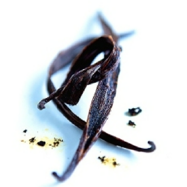 Vanilla Pods Fragrance Oil product image