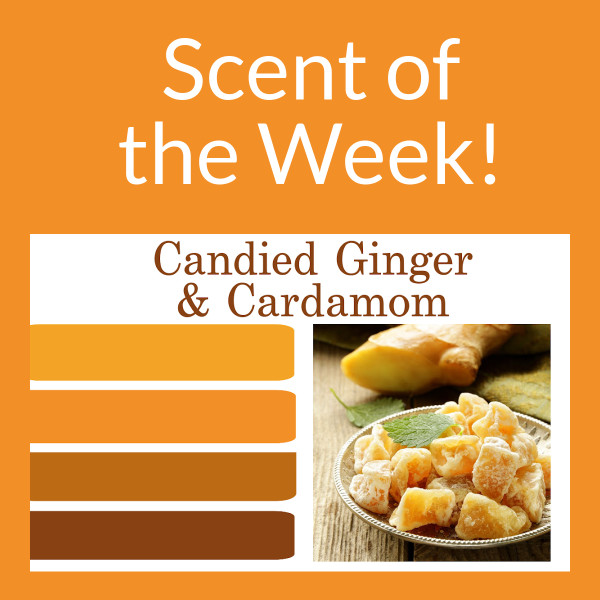 Scent of the week - Candied Ginger & cardamom Scent of the week - Candied Ginger & cardamom