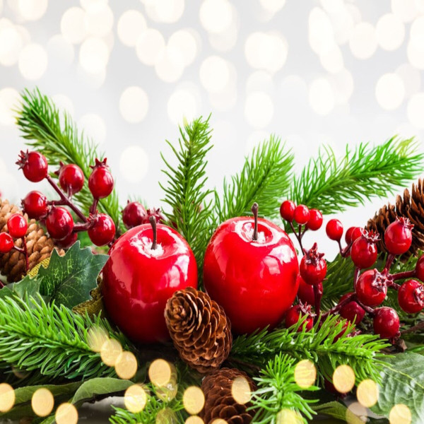 Christmas Splendor Fragrance Oil product image