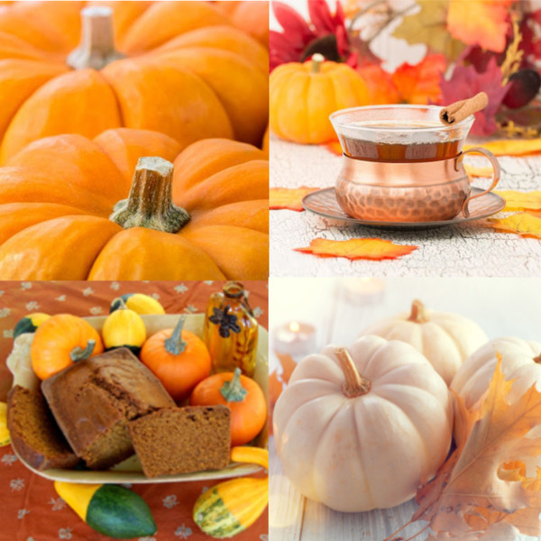 Falling for Pumpkins Collection Sampler product image