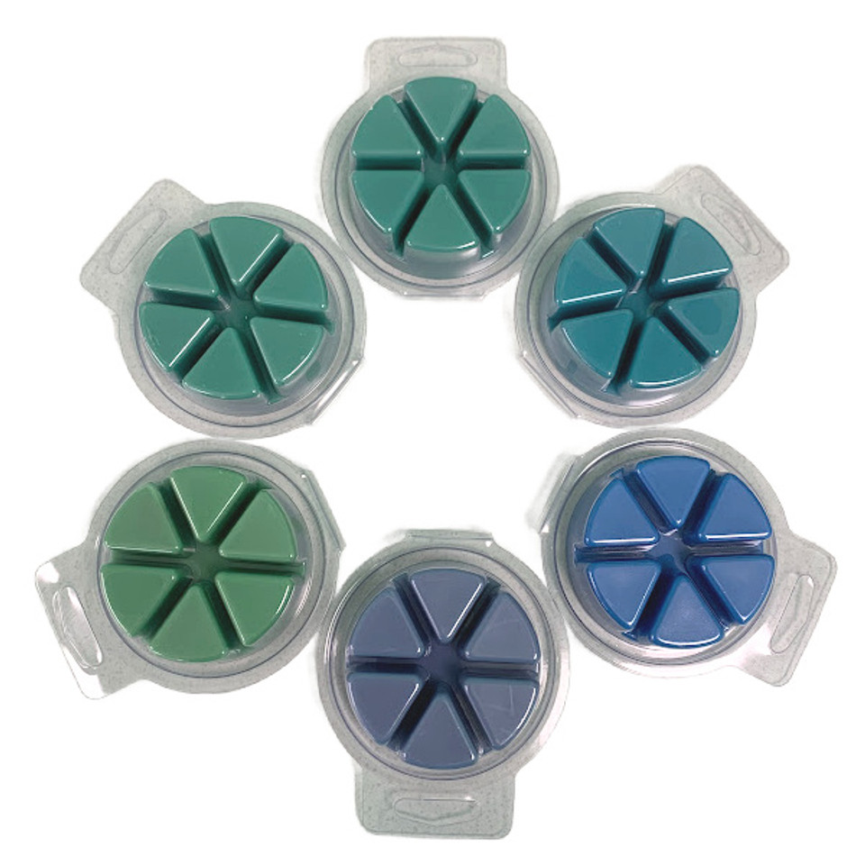 Pie Shaped 6 cavity clam shell in blue/green colors