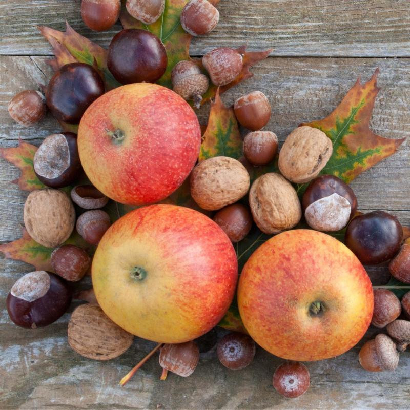 Apple Chestnut Praline Fragrance Oil product image