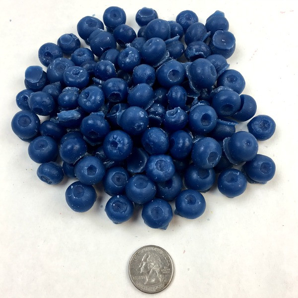 3-D Wax Blueberries per 100 product image
