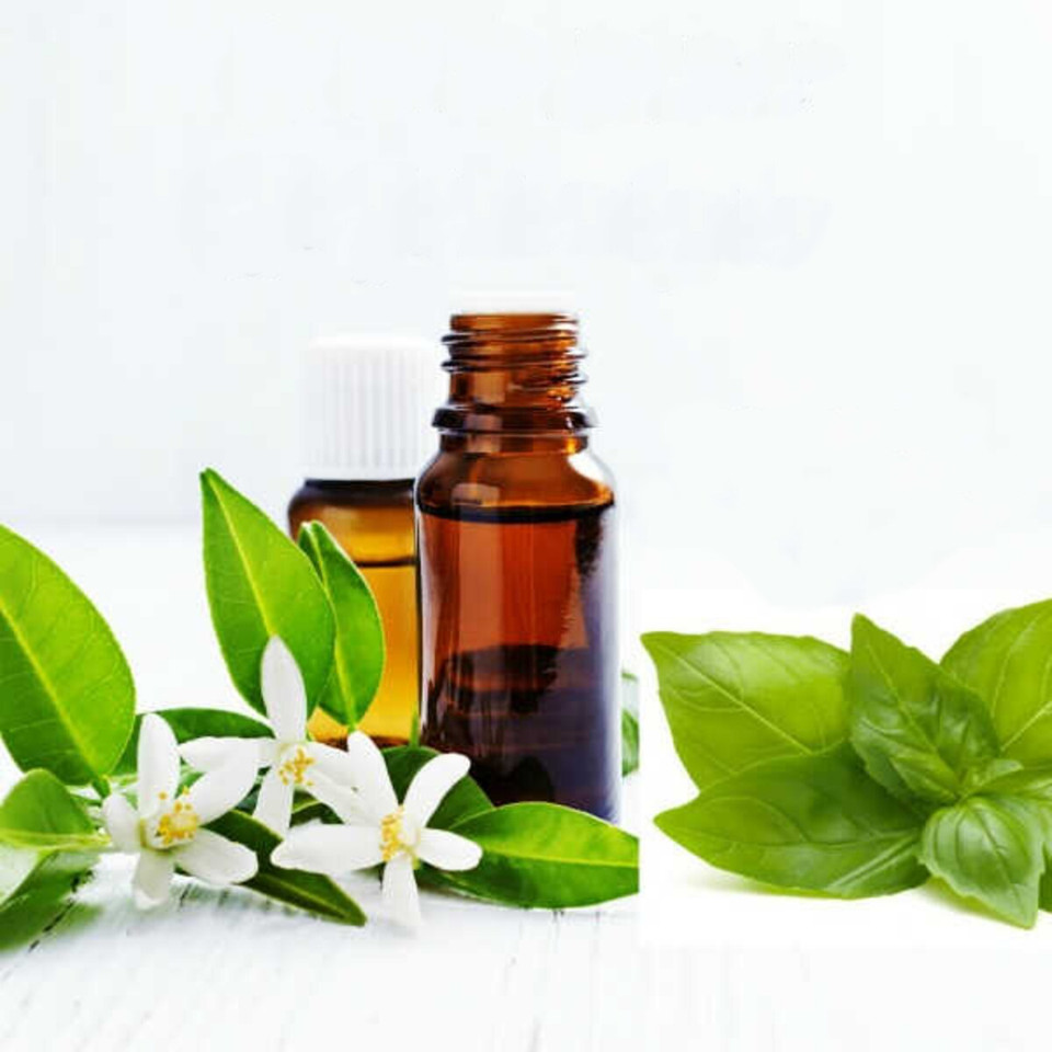 Basil & Neroli Fragrance Oil product image