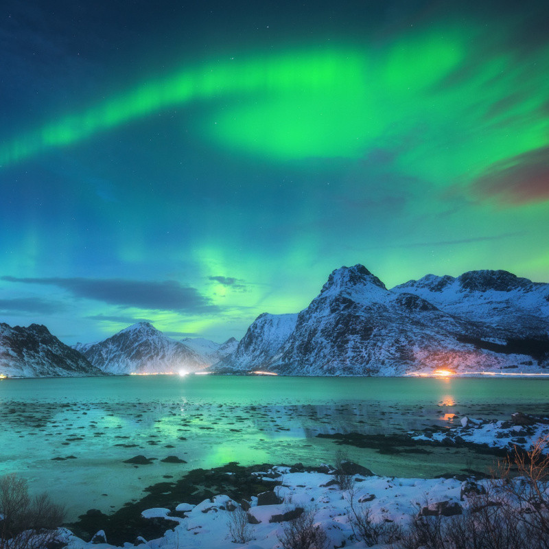 Northern Lights Fragrance Oil product image