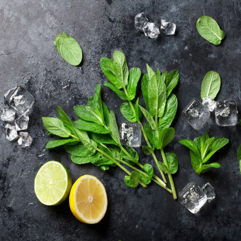 Cool Citrus Basil (BBW type) Fragrance Oil product image