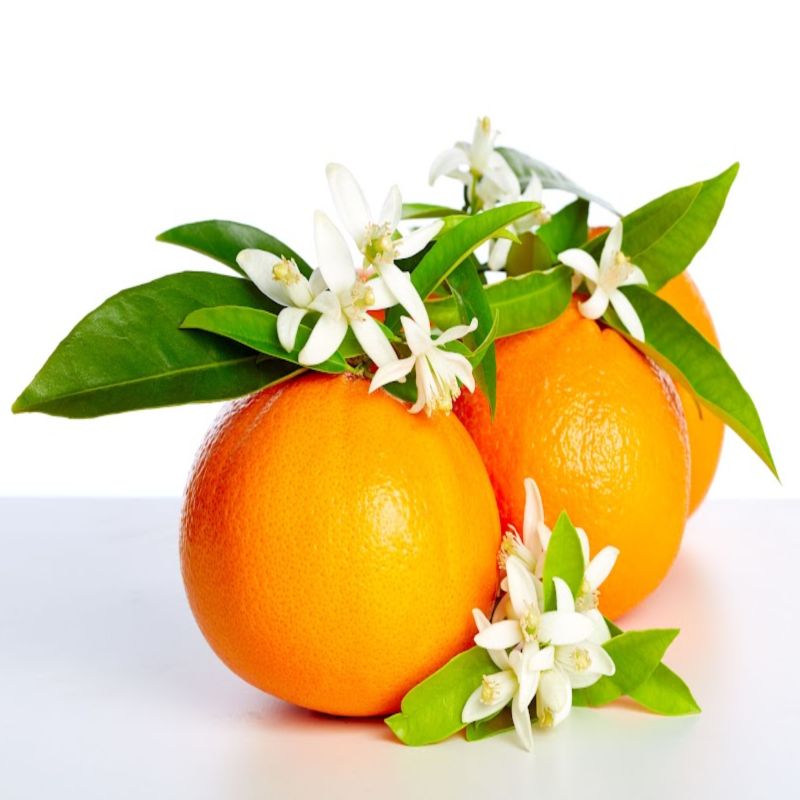 Orange Blossom Fragrance Oil product image