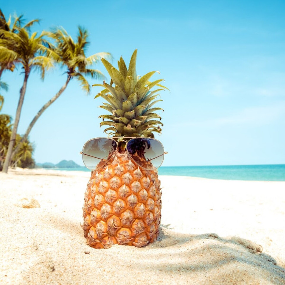 Pineapple Paradise (Yankee type) Fragrance Oil product image