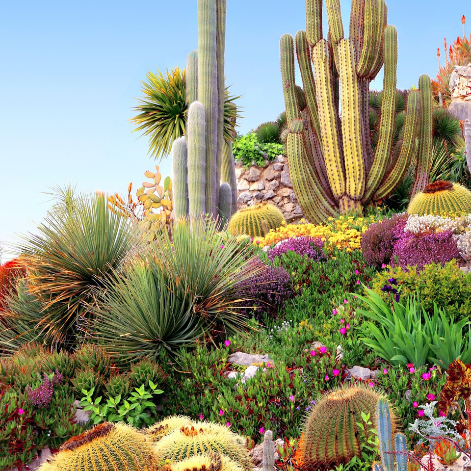 Prickly Garden Fragrance Oil product image