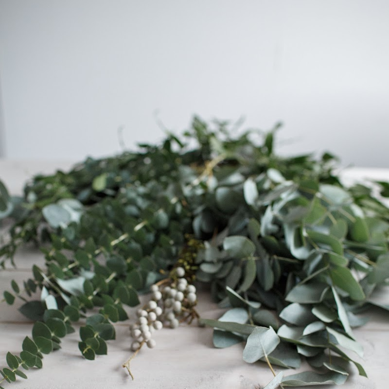 Eucalyptus Fragrance Oil product image