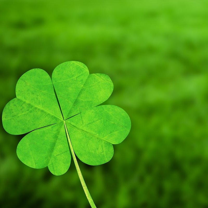Green Clover & Aloe (BBW Type) Fragrance Oil product image