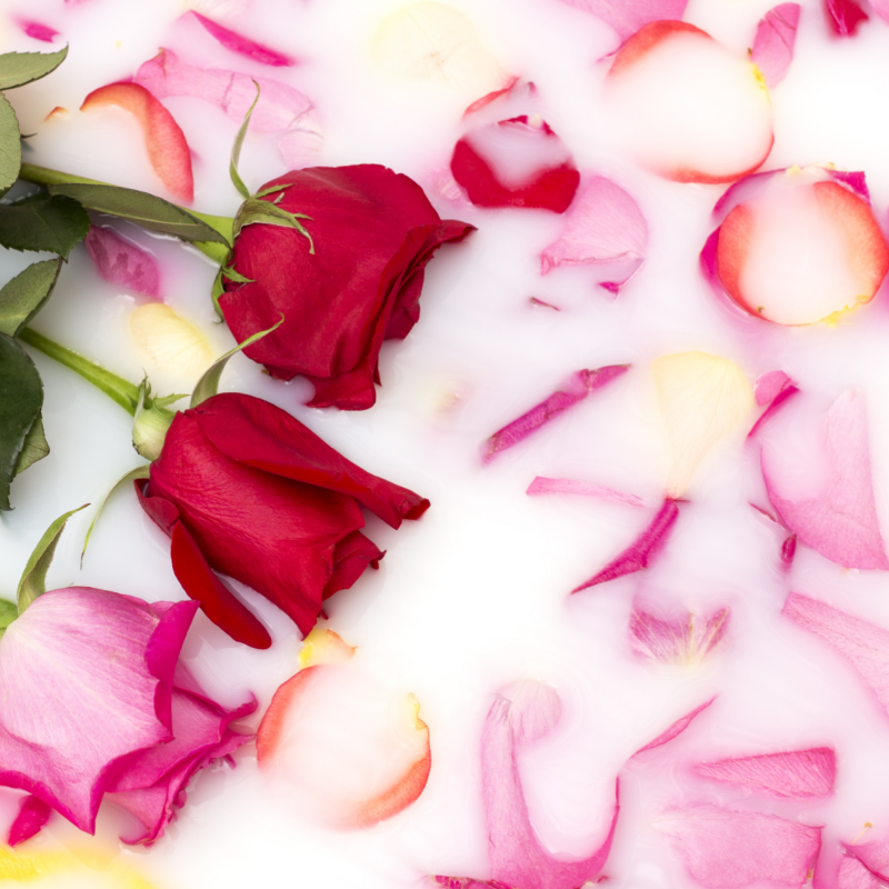 Milk Rose (Voluspa type) Fragrance Oil product image