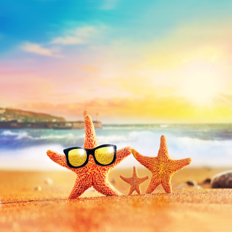 Sun & Sand (Yankee type) Fragrance Oil product image