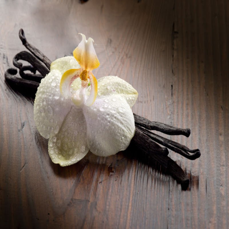 Sensual Vanilla Musk Fragrance Oil product image