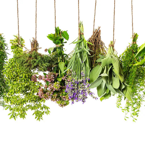 Herbs de Provence Fragrance Oil product image