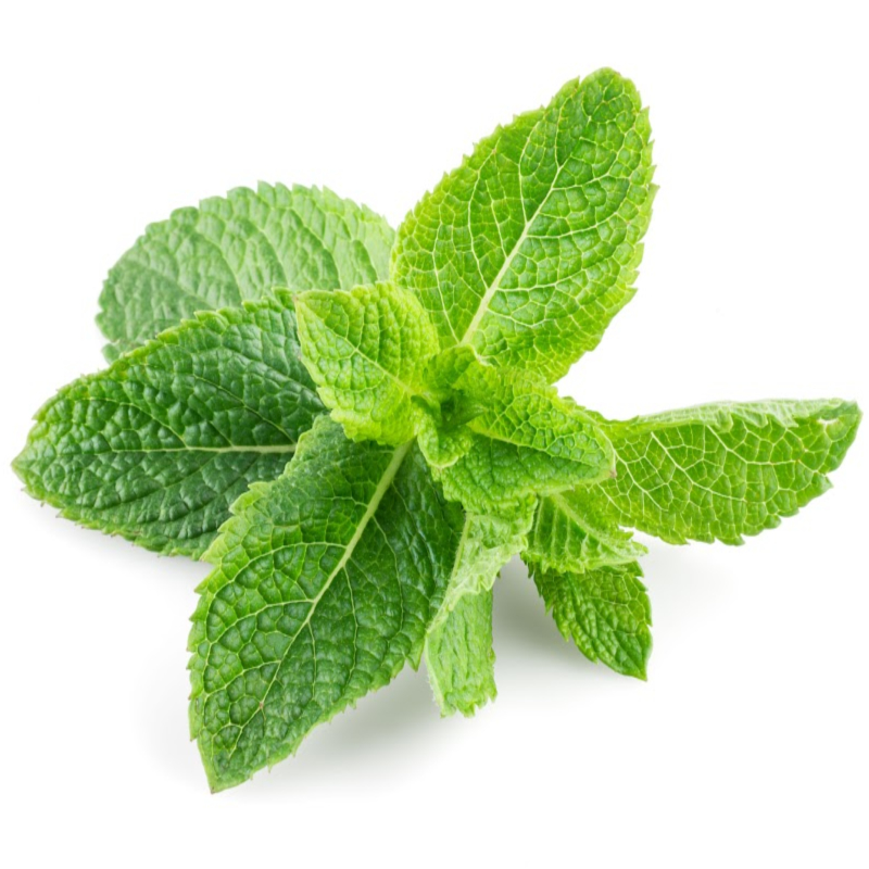 Spearmint Fragrance Oil product image