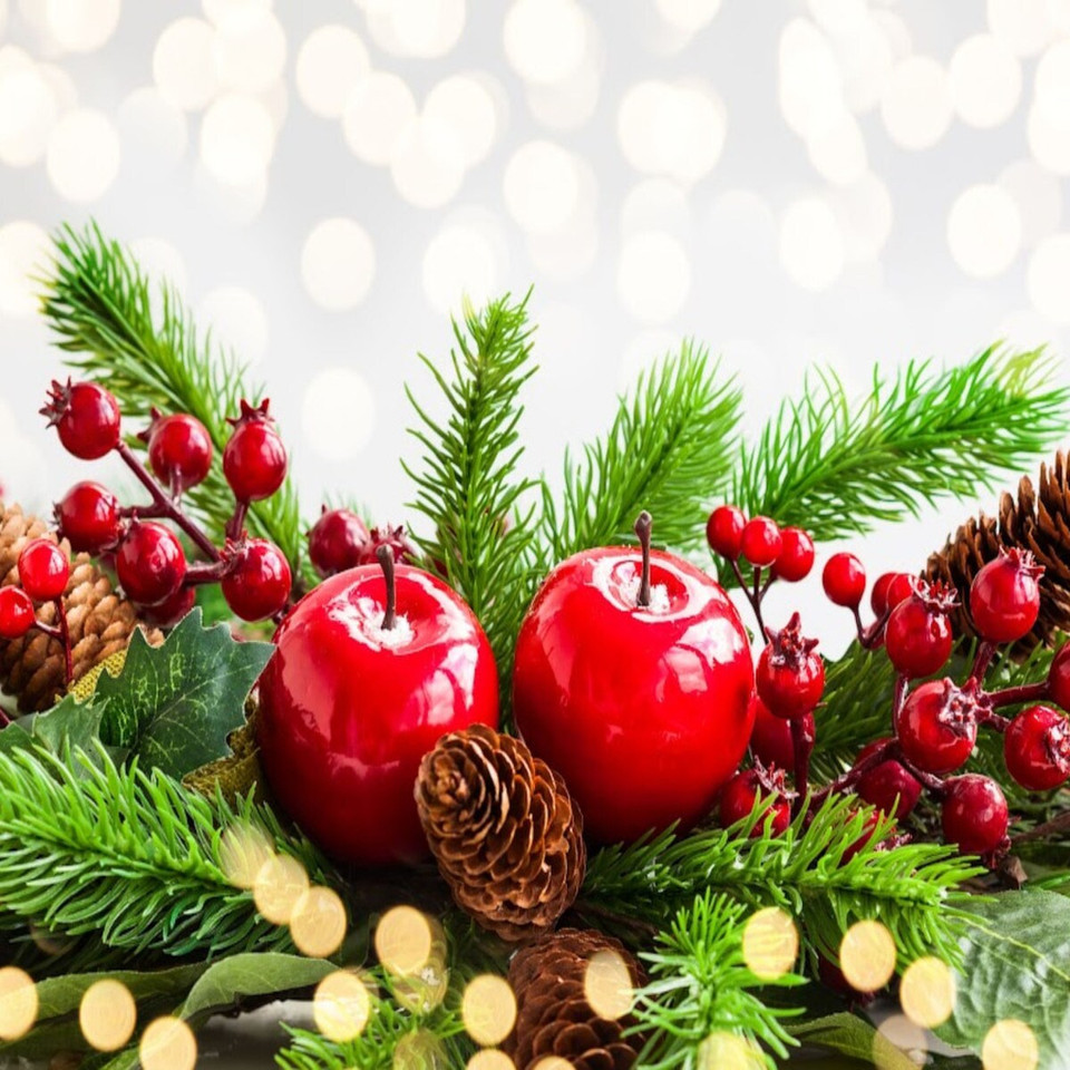 Christmas Splendor Fragrance Oil product image