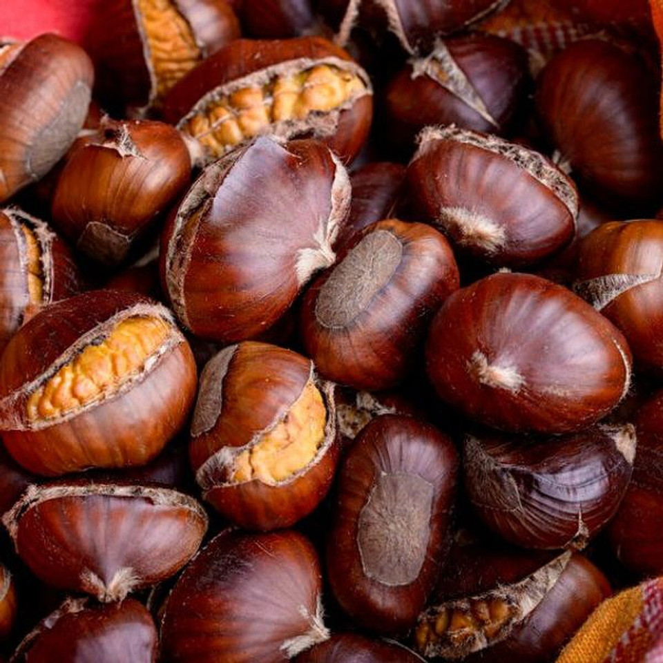 Roasted Chestnuts Fragrance Oil product image