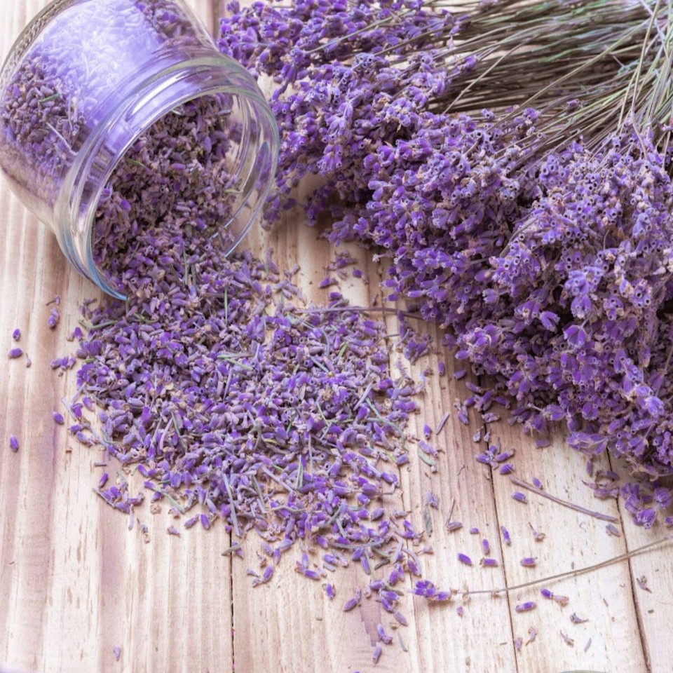 Lavender Vanilla Fragrance Oil product image