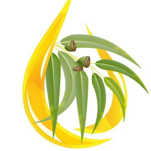 Lemon Eucalyptus Essential Oil product image