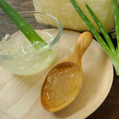 aloe distans Aloe Distans | Small Stemless Succulent main image 1
