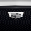 21-24-cadillac-escalade-monochrome-crest-emblem-package-includes-front-rear-general-motors