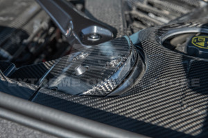 20-24-c8-corvette-carbon-fiber-strut-cover-w-o-mag-ride-eos installed