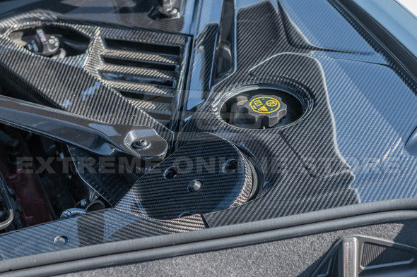 20-24-c8-corvette-carbon-fiber-strut-cover-w-o-mag-ride-eos installed passenger side