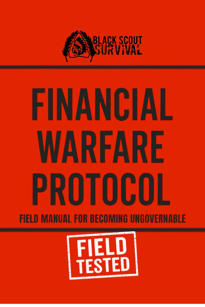 FINANCIAL WARFARE PROTOCOL (Digital Download)