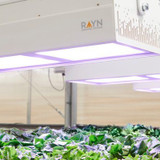 Lighting Solutions for Horticultural Applications—An Interview with AgriTechTomorrow