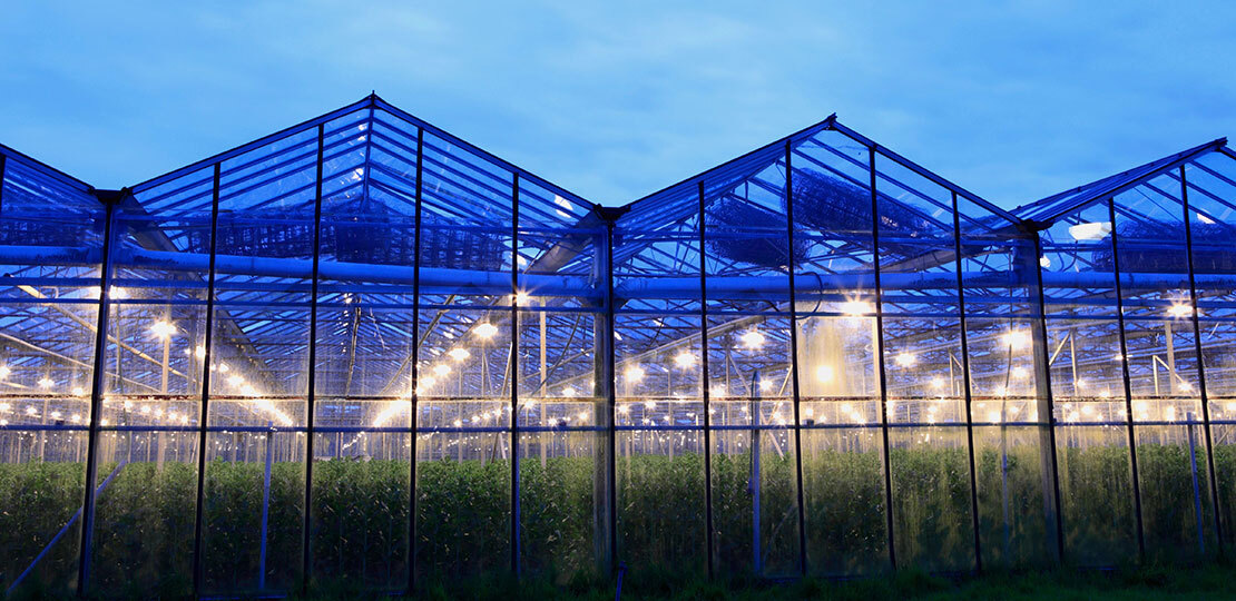 RAYN Greenhouse