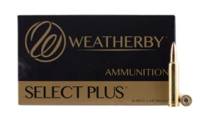Weatherby 224 Weatherby Magnum 55 Grain Spire Point - Brass Casing