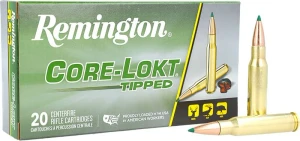Remington 308 Win, 165 Grain, Core-Lokt Tipped, 2700 fps