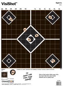 Champion Visishot Sight-In Targets