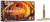 Federal Fusion Rifle, 25-06 Rem, 120 Grain, Fusion Soft Point, 2980 fps