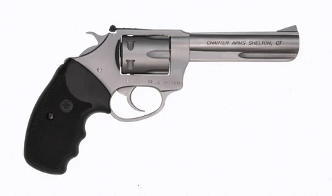 Charter Arms Target Pathfinder .22 LR, 4.2" Stainless