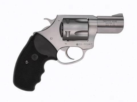 Charter Arms Pit Bull .45 ACP