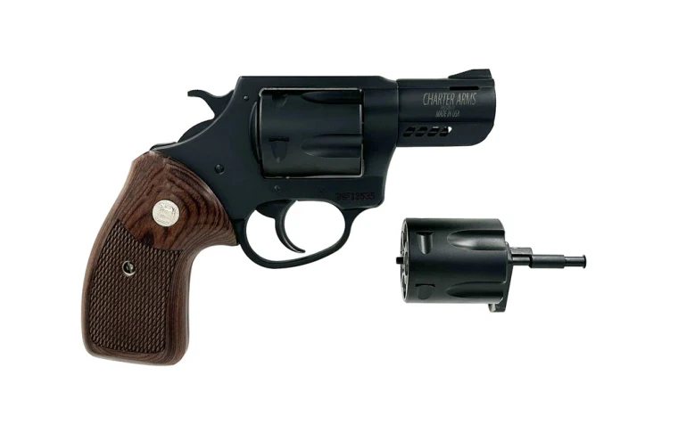 Charter Arms Double Dog .9mm/.357 Magnum, Black Passivate