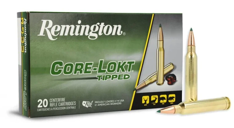 Remington 300 Win Mag, 180 Grain, Core-Lokt Tipped, 2980 fps