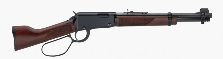Henry H1 Mare's Leg Pistol 22 WMR