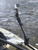 YakAttack 8" Extension Arm