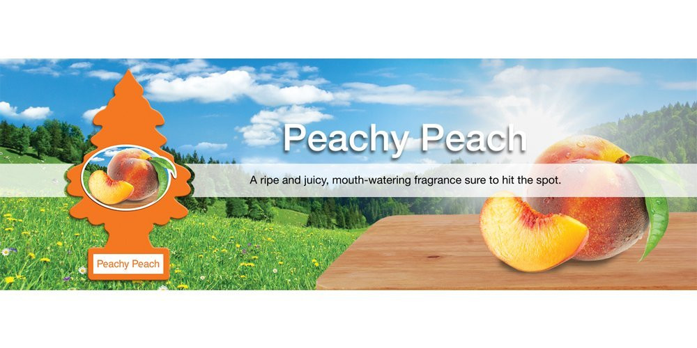 Little Trees Air Fresheners 6Pack Peachy Peach JB Tool Sales