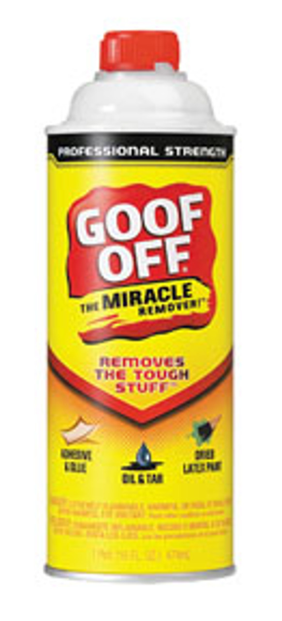 Goof Off Professional Strength Remover - 20 fl. oz. - Latex Paint and  Adhesive Remover