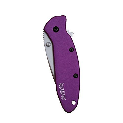 Kershaw Purple Scallion Dolding Knife (1620Pur) | Jb Tools