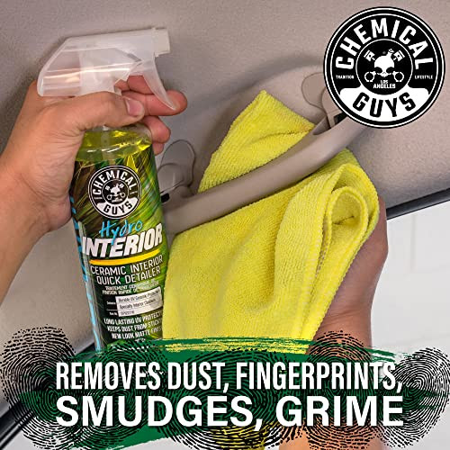 Chemical Guys SPI22716 HydroInterior SiO2 Ceramic Interior Quick